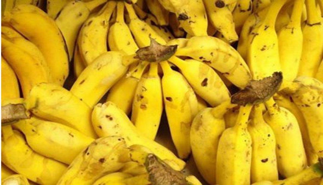 Unibán espera exportar 45 millones de cajas durante 2018, 41 de estas de banano