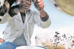 En septiembre, próxima ronda de negociación de la Alianza del Pacífico Antes de este encuentro entre el bloque y los candidatos a Estados Asociados, debería definirse el acceso para los productos pendientes.