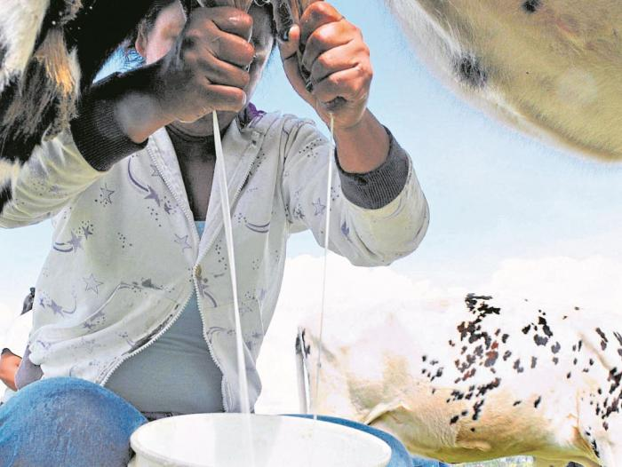 En septiembre, próxima ronda de negociación de la Alianza del Pacífico Antes de este encuentro entre el bloque y los candidatos a Estados Asociados, debería definirse el acceso para los productos pendientes.