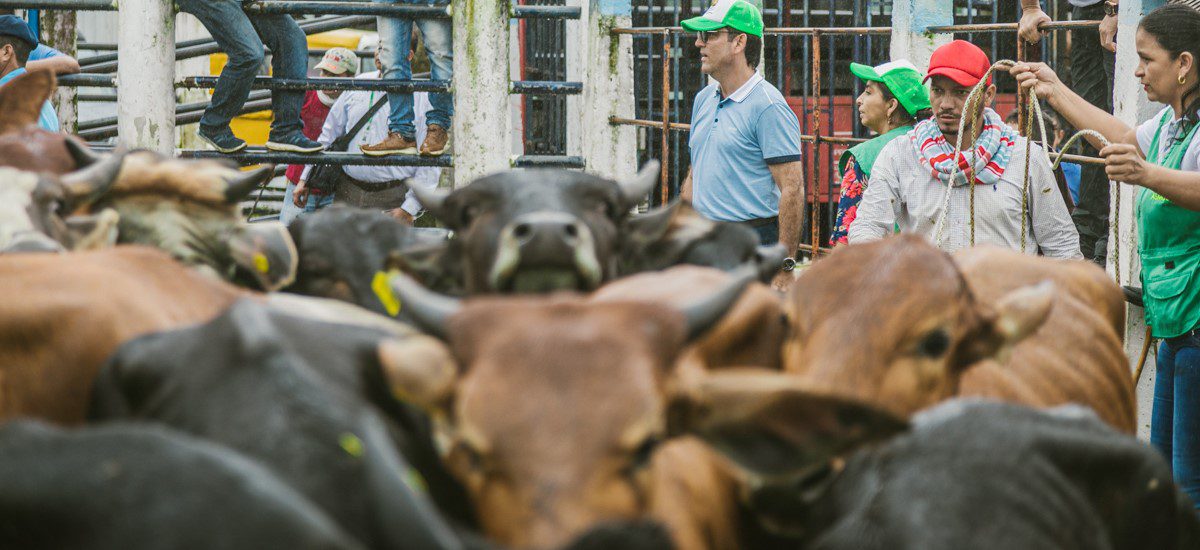 Perú abre de nuevo el mercado para la carne colombiana