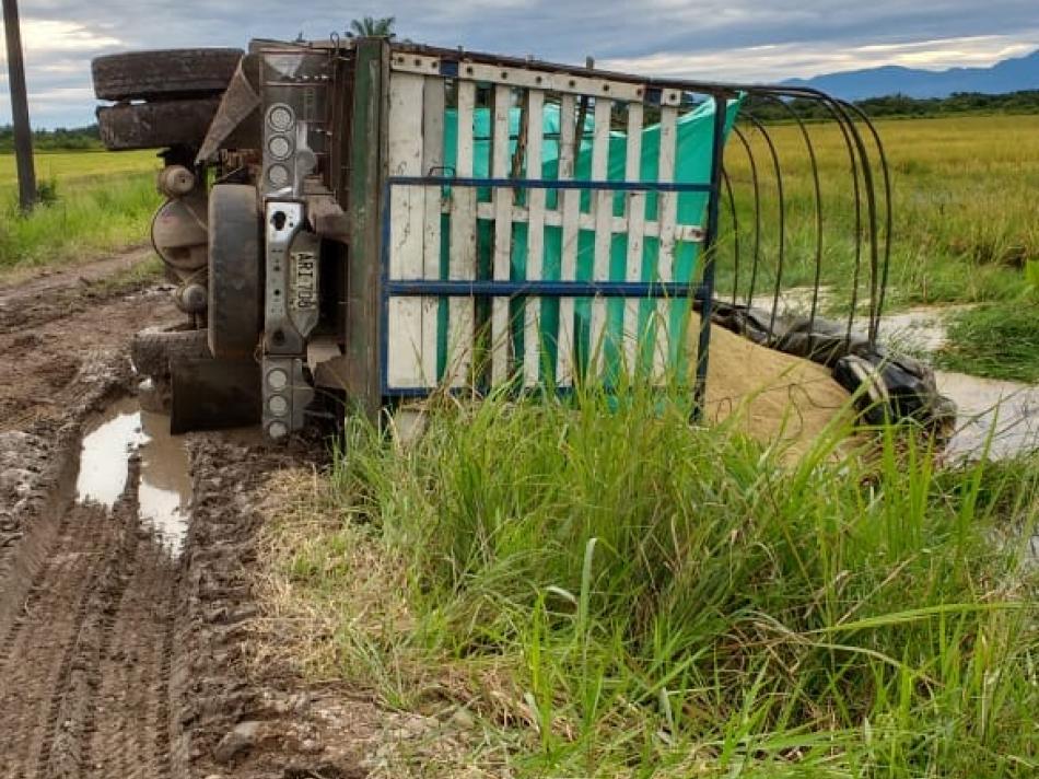 Cosecha de arroz del Casanare así se vive el drama de sacarla por carretera