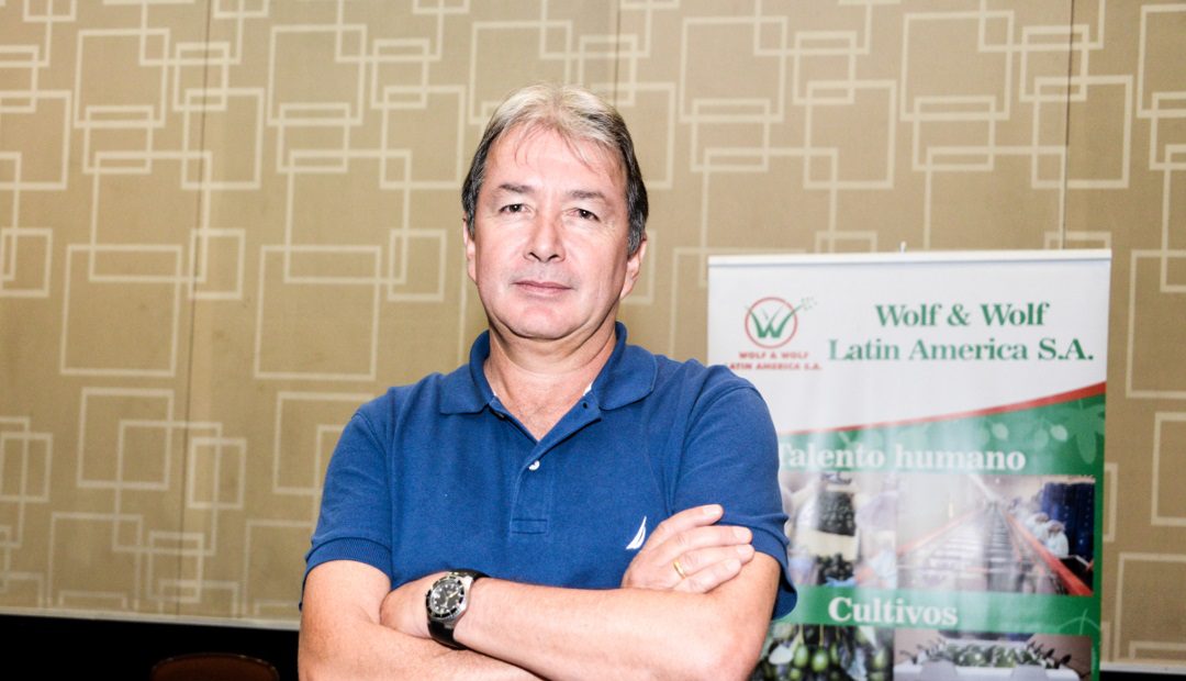 Mandarinas colombianas se preparan para entrar al mercado de EE.UU