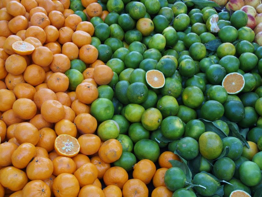 Barranquilla exportará naranjas a EEUUdestino el Puerto de Philadelphia