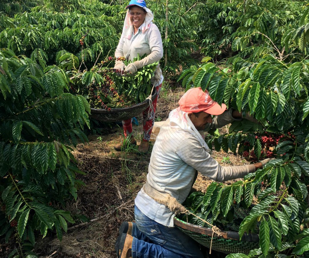 Perú eliminó aranceles de 10% que afectaban a 11 productos colombianos