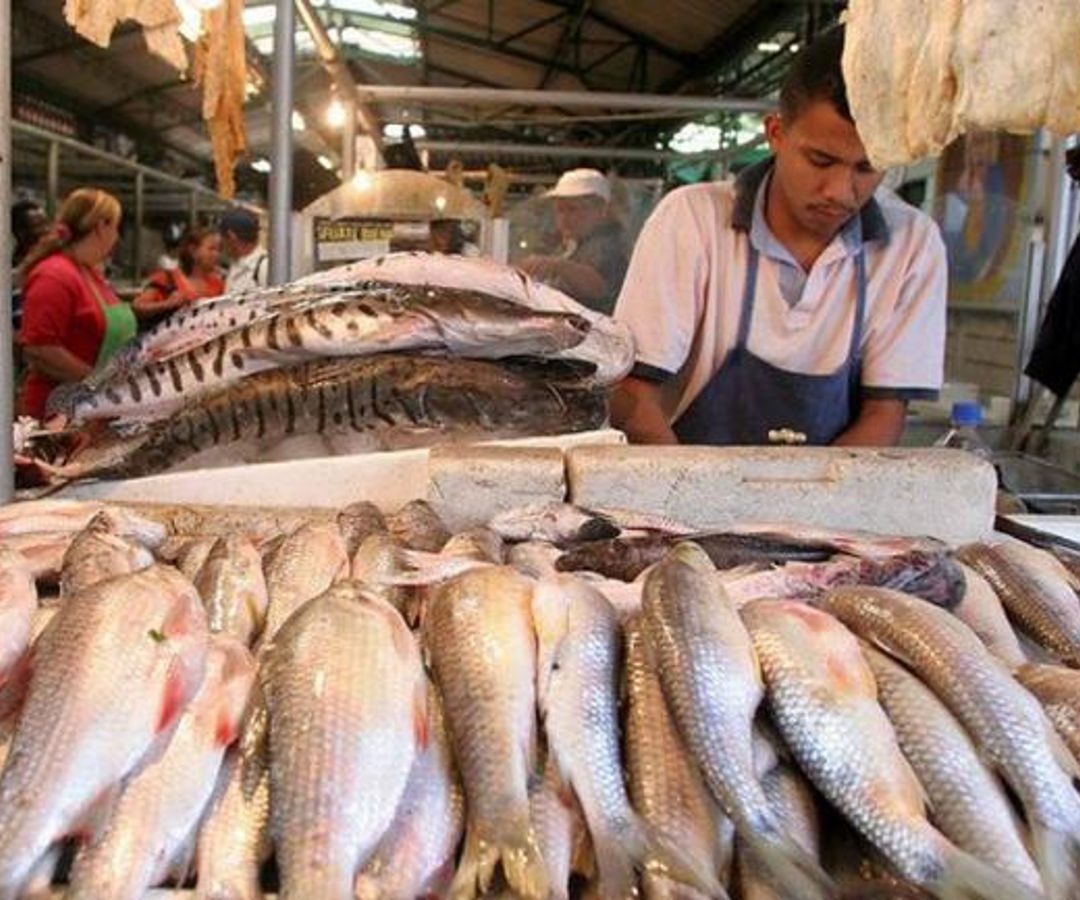 Exportaciones de pescado y carne incrementan en lo corrido de este año
