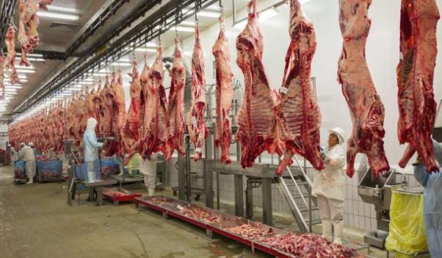 Brote de aftosa ocasiona que Rusia cierre importaciones