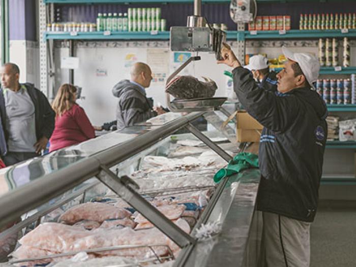 Exportaciones de pescado crecerán 57,8% para este año