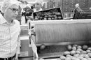 Aguacate hass cosechado en Sonsón va rumbo a Europa