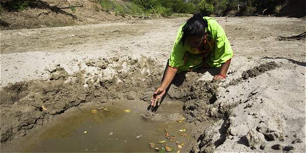 Naviera Fluvial Colombiana: navegación en Río Magdalena