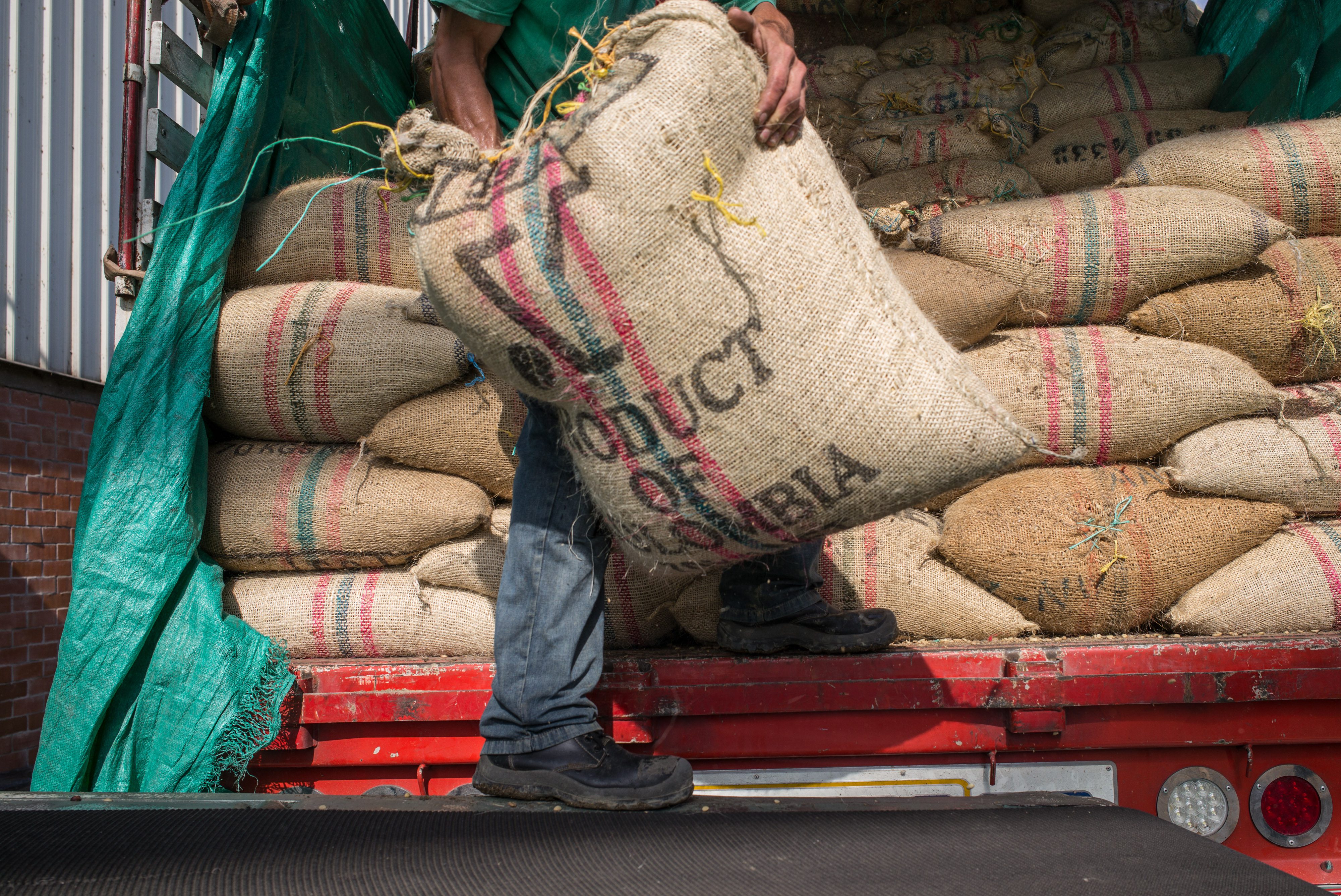 Ventas externas de café se alinearon con la producción y tuvieron alza de 14.3%