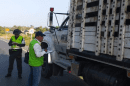 Decomisan dos toneladas de carne de contrabando avaluadas en $25 millones