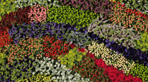 Colombia se prepara para exportar 600 millones de tallos de flores