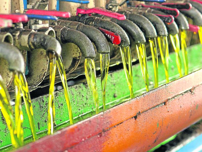 Mezcla de biodiésel no genera contaminación ni daños en los motores