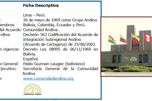 Comunidad Andina aprueba norma supranacional para facilitar transporte de carga terrestre