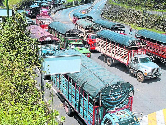 Mintransporte intervendrá más de 20 mil camiones con matrículas irregulares