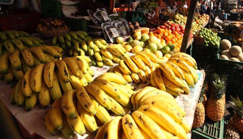 Banano colombiano podría exportarse en altas cantidades a China