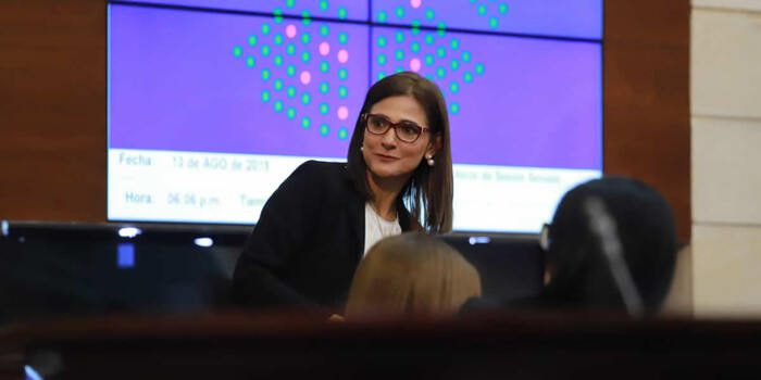 'No venimos al Congreso a que nos aplaudan, sino a contarle al país que este es un sector que trabaja 24/7 por el país’: Mintransporte