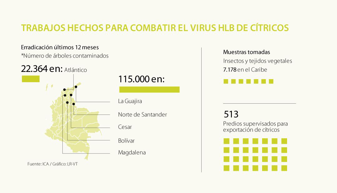 En 26 departamentos se mantiene la vigilancia especial del ICA por Virus del HLB