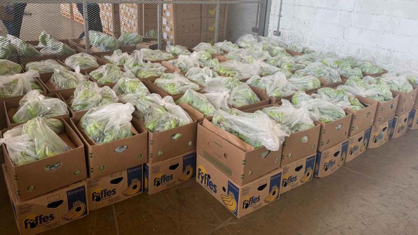 Hallan 656 kilos de cocaína ocultos en cajas de banano en puerto de Santa Marta