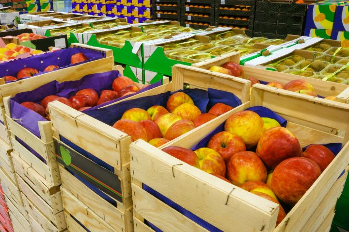 El gran evento de los profesionales del transporte y la logística