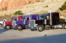 Transportadores