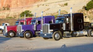 Transportadores