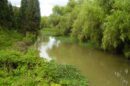 transporte fluvial