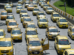 Taxistas