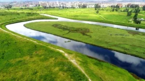 río Bogotá