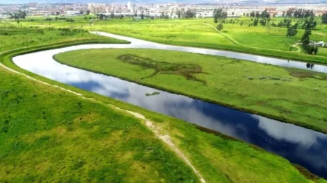 río Bogotá