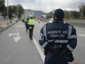 inmovilizaciones vehiculares