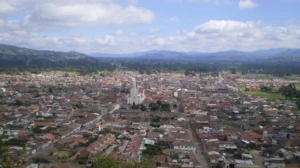 ruta