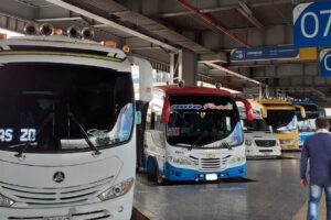 transporte terrestre