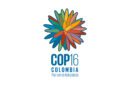 COP16