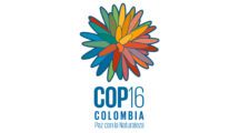 COP16