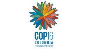 COP16