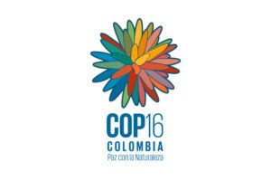 COP16
